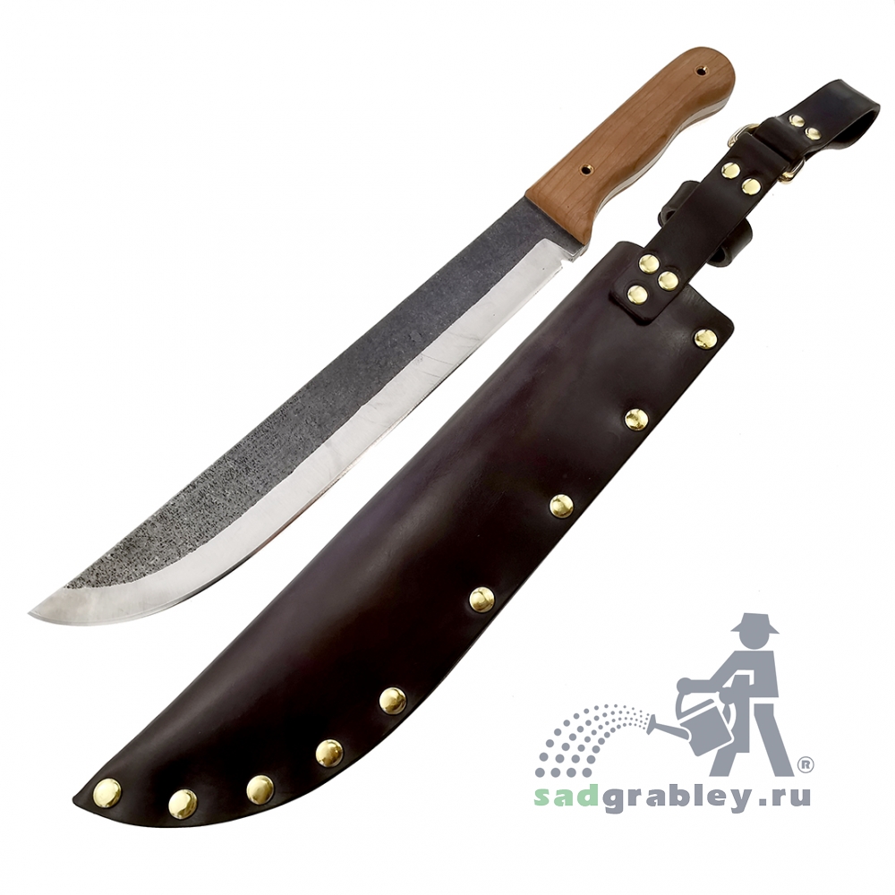  ,  Sabatier