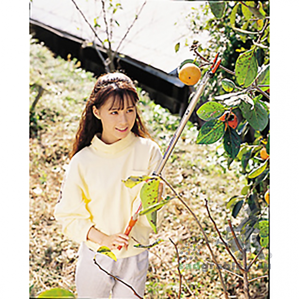  Nishigaki, . .   360 .  2.0 , 25.