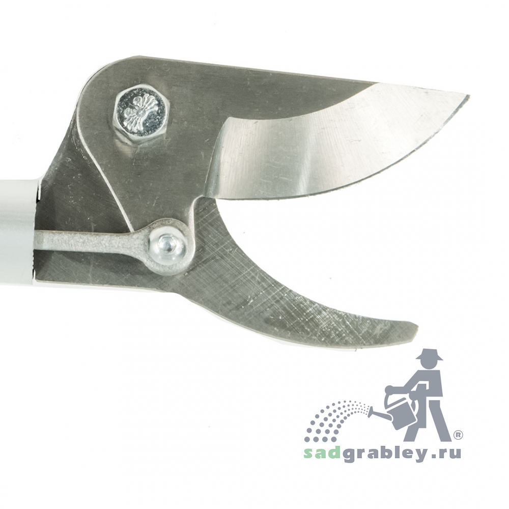  Nishigaki, c . , . .  260 