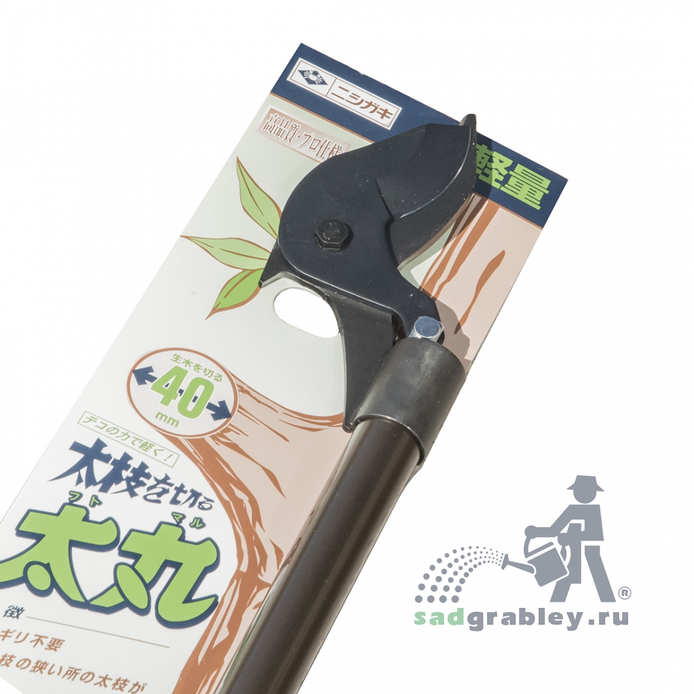    , Nishigaki,  1500, 40 