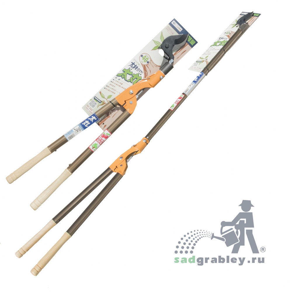    , Nishigaki,  1500, 40 