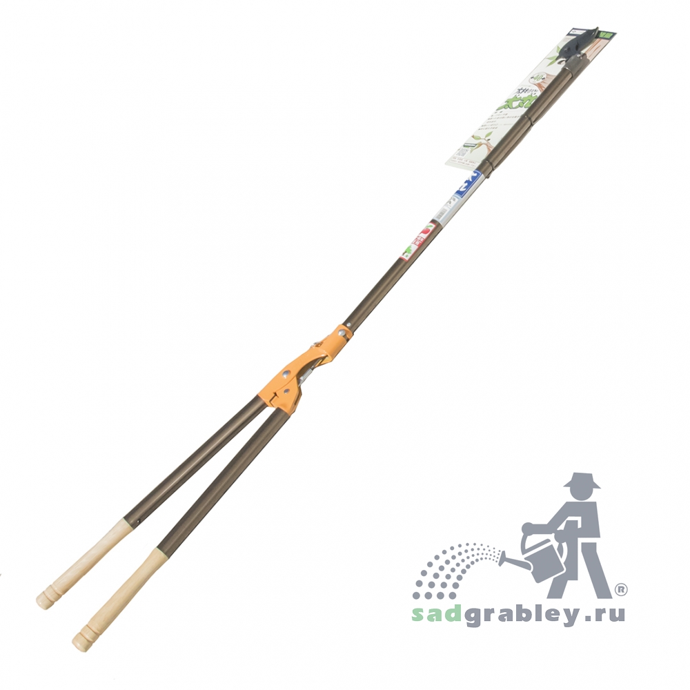    , Nishigaki,  1500, 40 