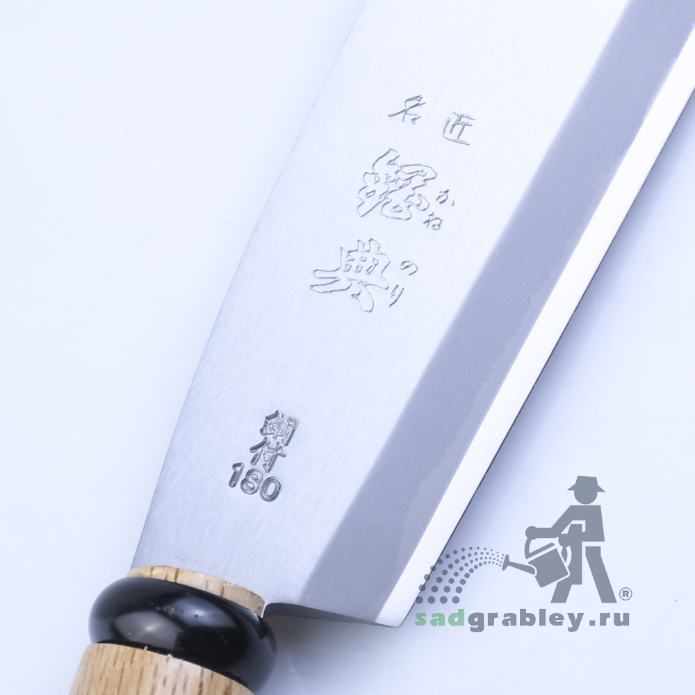  Igarashi Ryoha, 180 ,  370