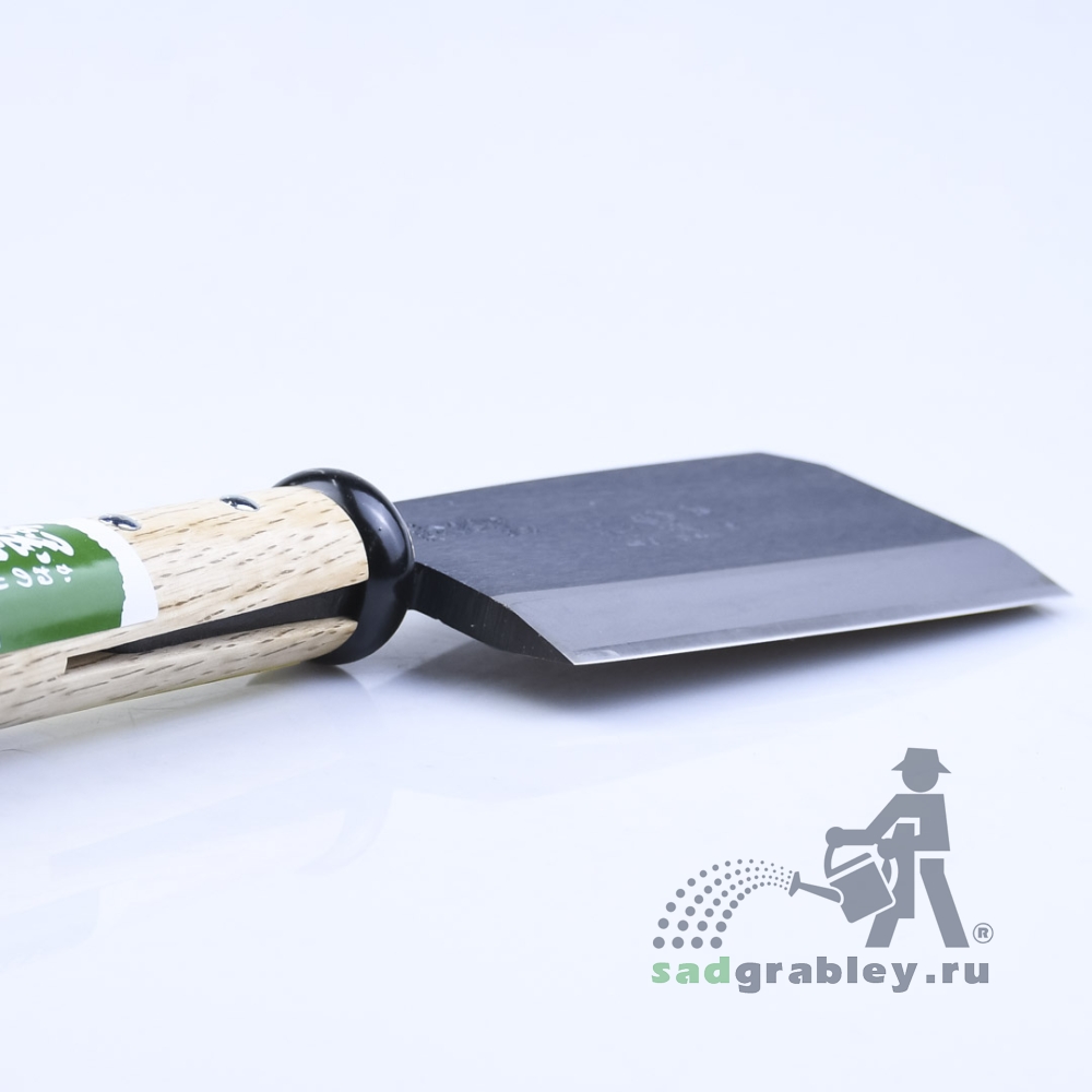  Igarashi Ryoha Mini, 135 ,  365