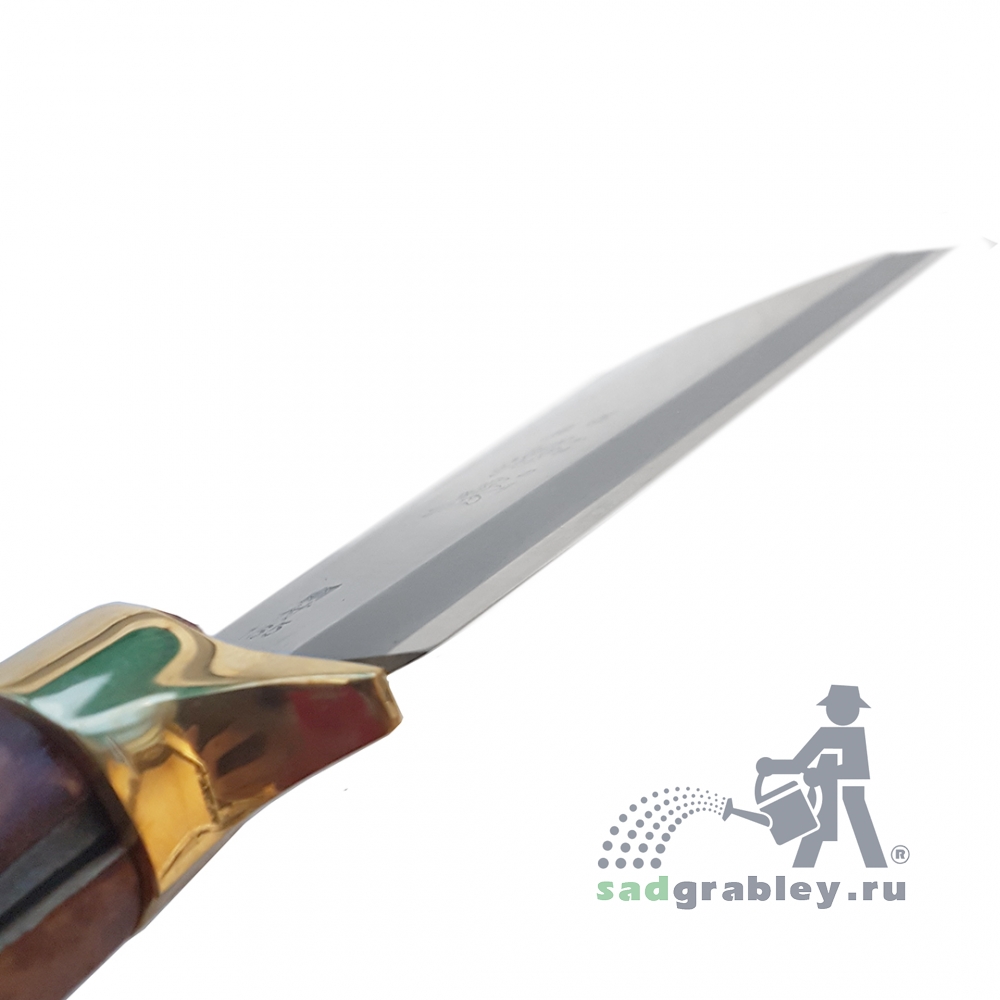  Igarashi Ryoha Deluxe, 165 ,  345