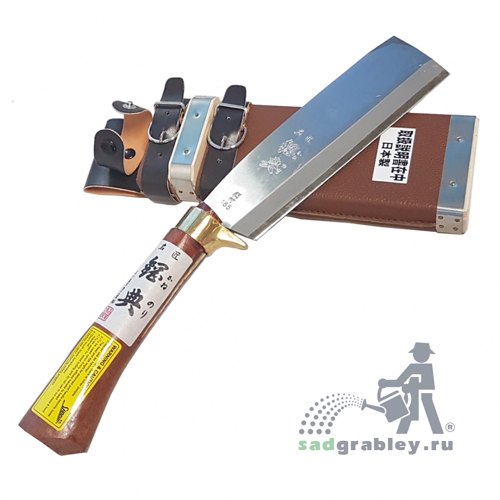  Igarashi Ryoha Deluxe, 165 ,  345