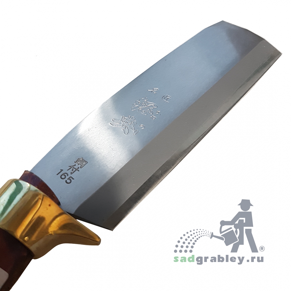  Igarashi Ryoha Deluxe, 165 ,  345