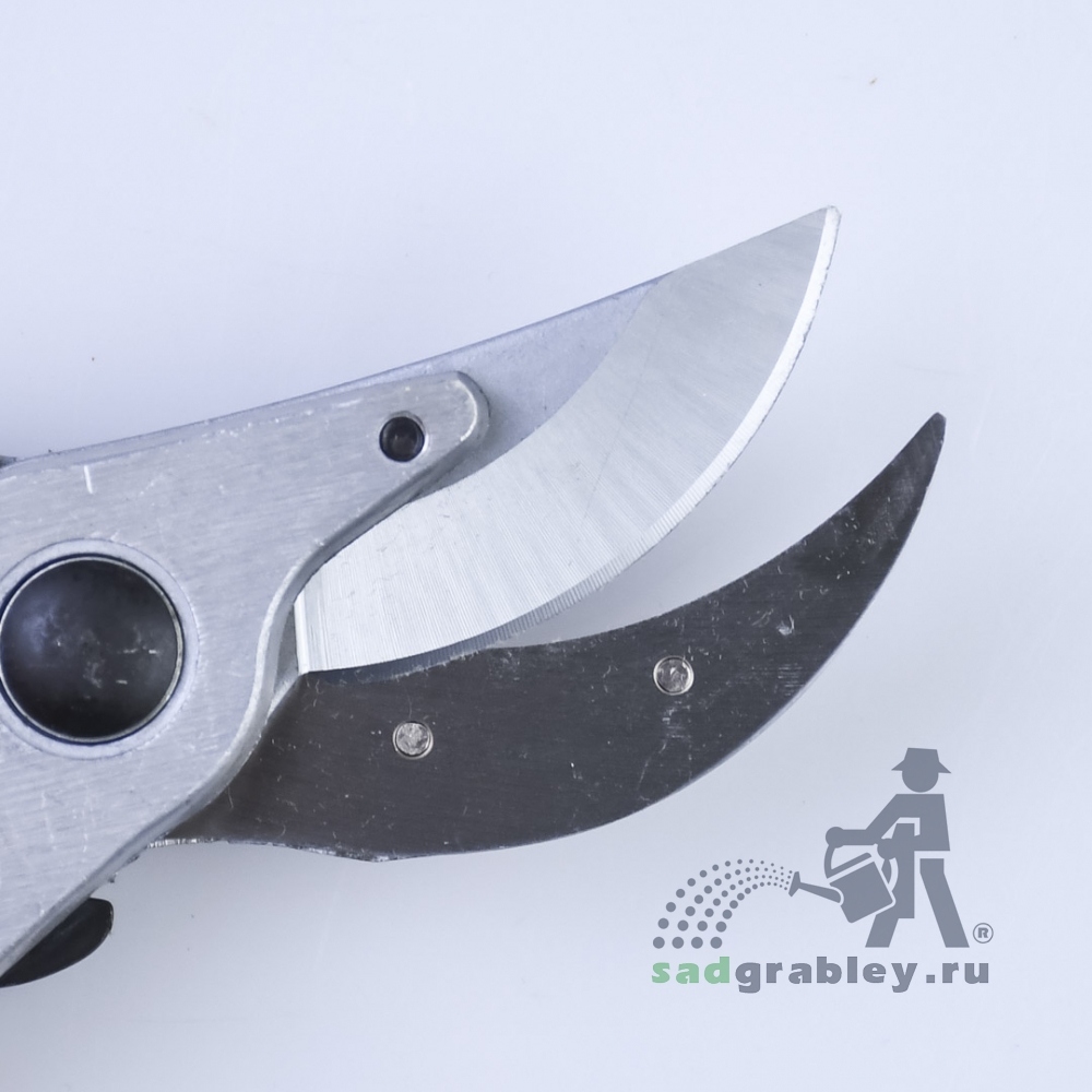  Shogun-355,  210 
