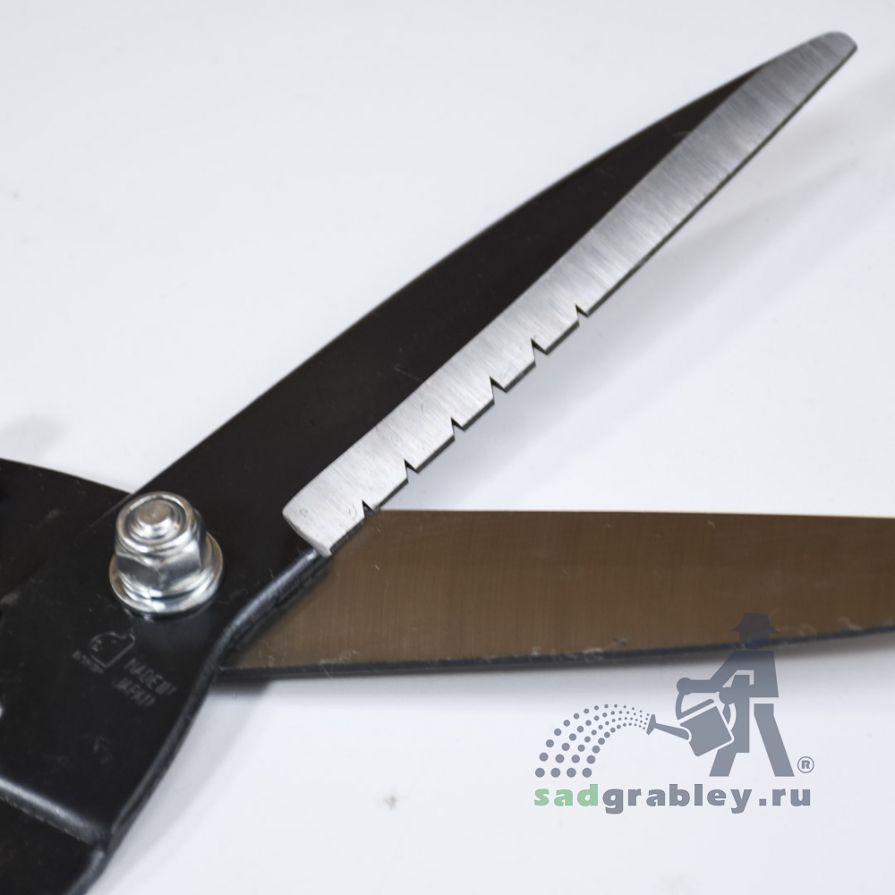    , Dokan Shozo, 155/580