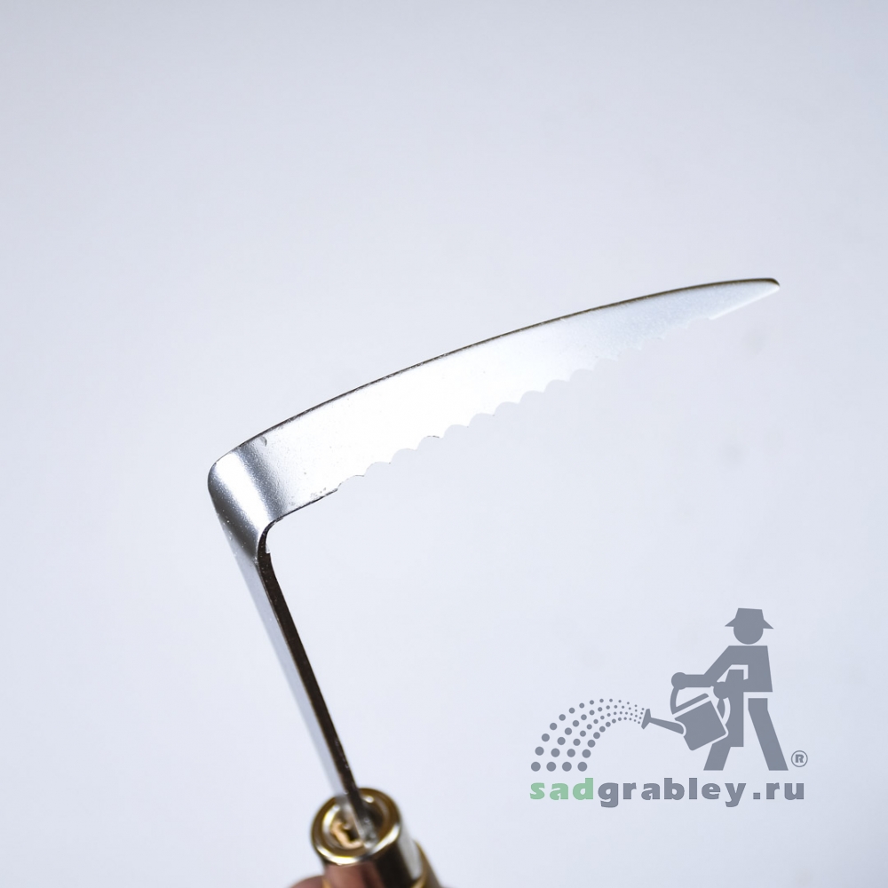    Shozo Dokan, . , 110*255 