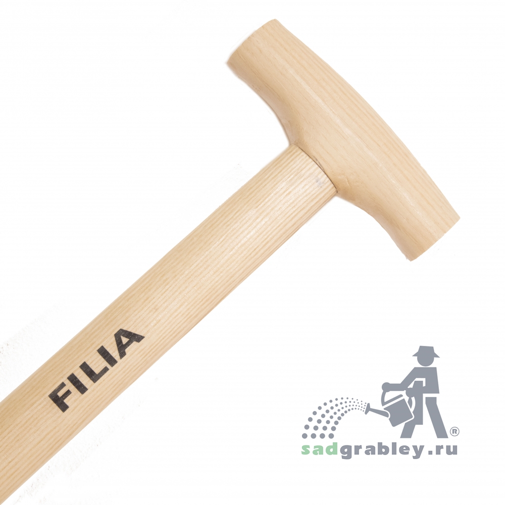  SHW Filia, T-. , 250*160,  1130 ,
